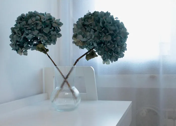 Interno1 Appartement