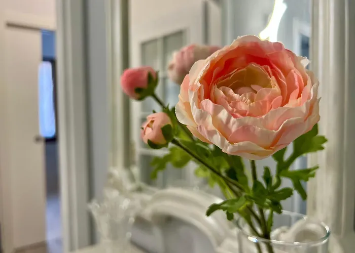 Appartement Interno1 Mestre